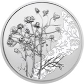 Silber Kamille 10 EUR HGH AUT - 2023