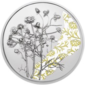Silber Kamille 10 EUR PP AUT - 2023