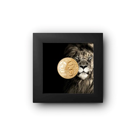 Gold King of the South - Lion 1/4 oz PP - Ultra High Relief 2023